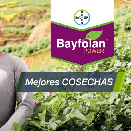 Spot Elvis aumentó los ingresos de su cultivo de papa con Bayfolan® Power | Agro Bayer Perú
